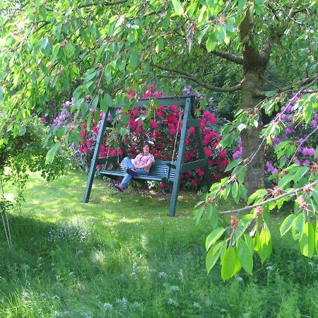 Ferienwohnungen Tewes Müden Dış mekan fotoğraf