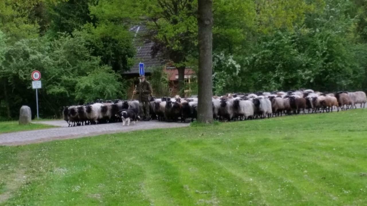 Ferienwohnungen Tewes Müden Dış mekan fotoğraf